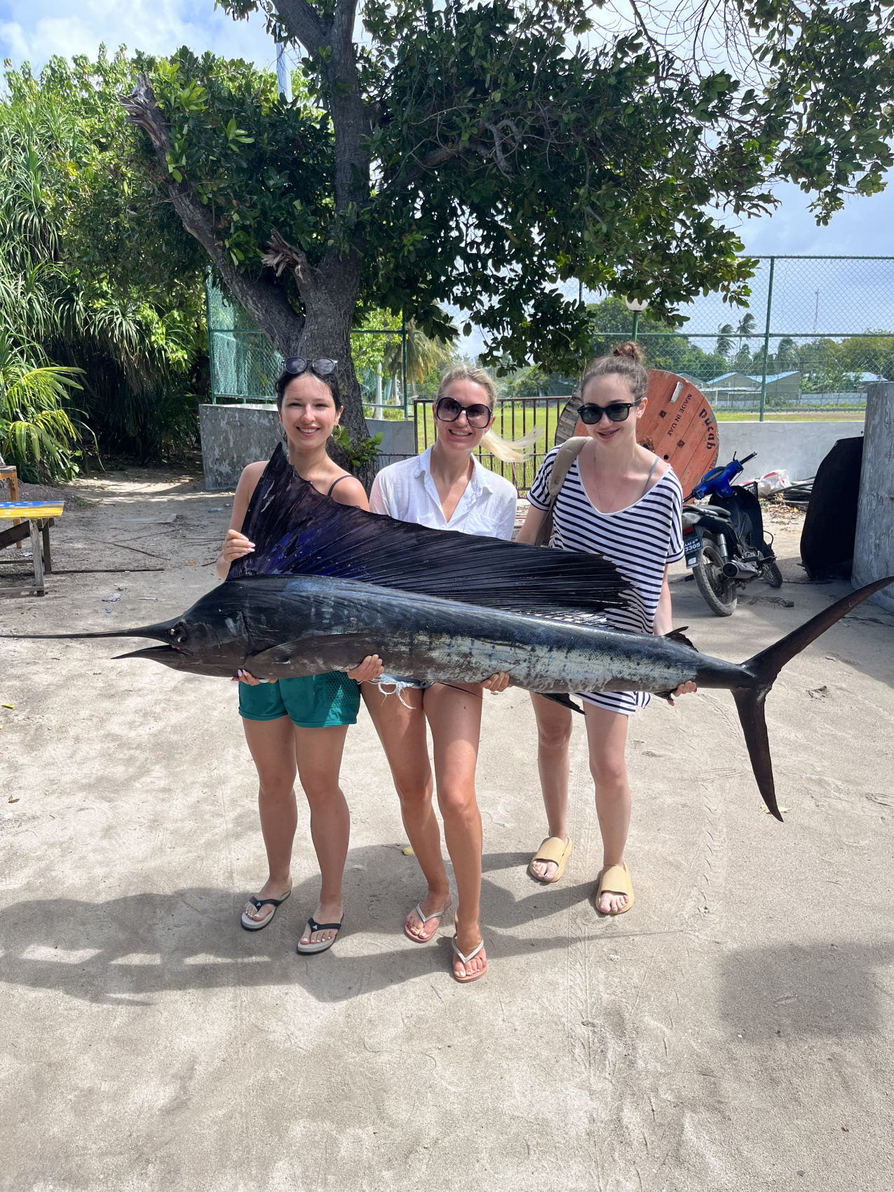 Доступные Мальдивы (все включено) (21/35)