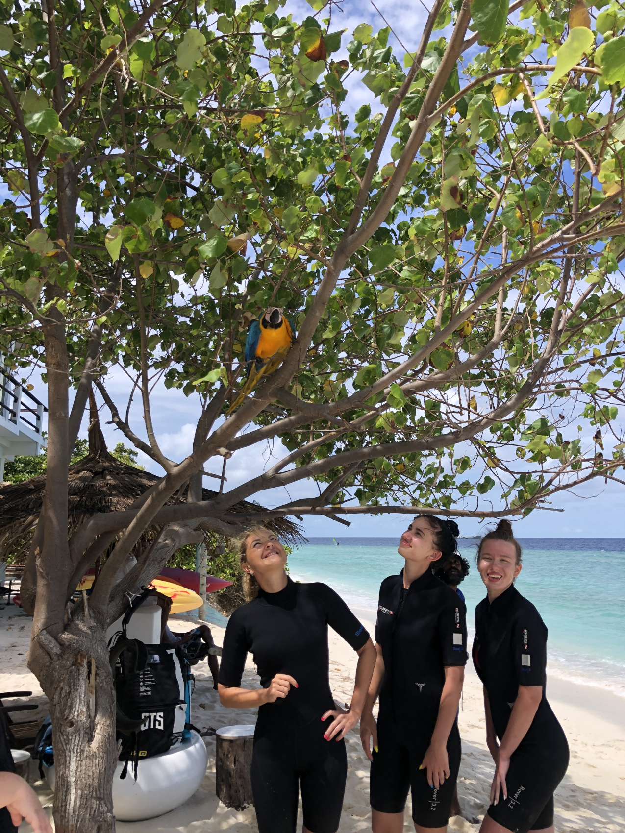 Доступные Мальдивы (все включено) (8/35)