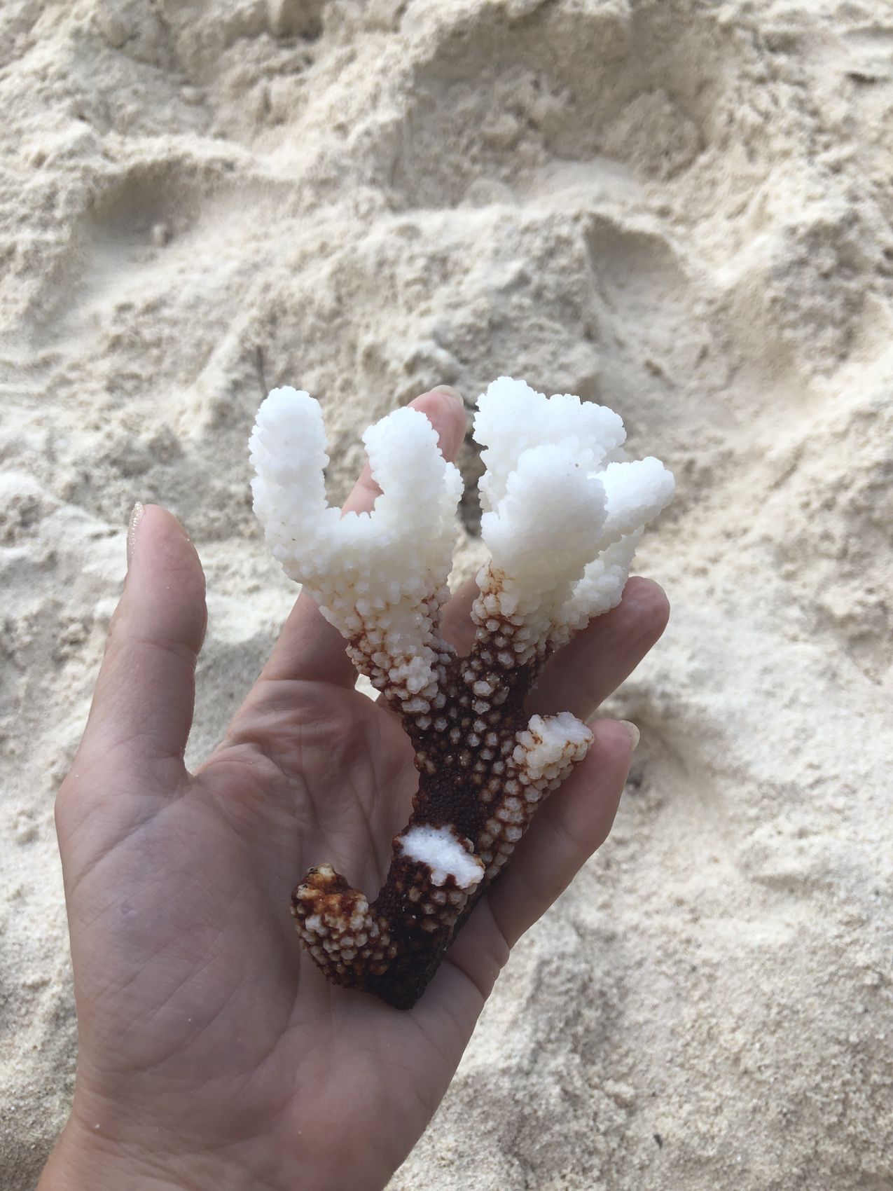 Доступные Мальдивы (все включено) (9/35)