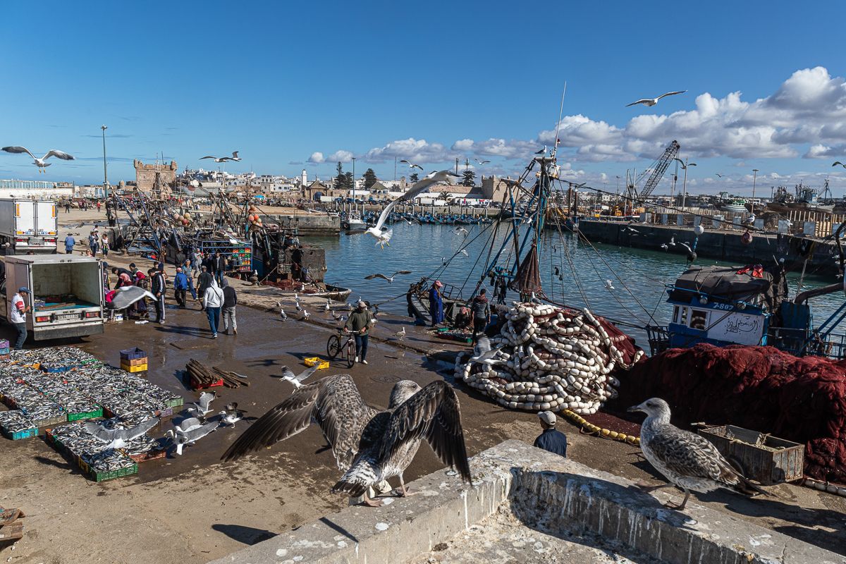 Три стихии: океан, пустыня и горы (из Касабланки) (7/39)