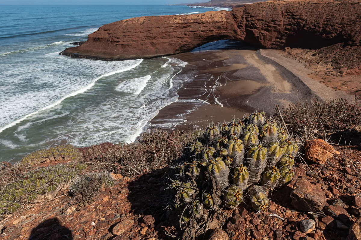 Три стихии: океан, пустыня и горы (из Касабланки) (8/39)
