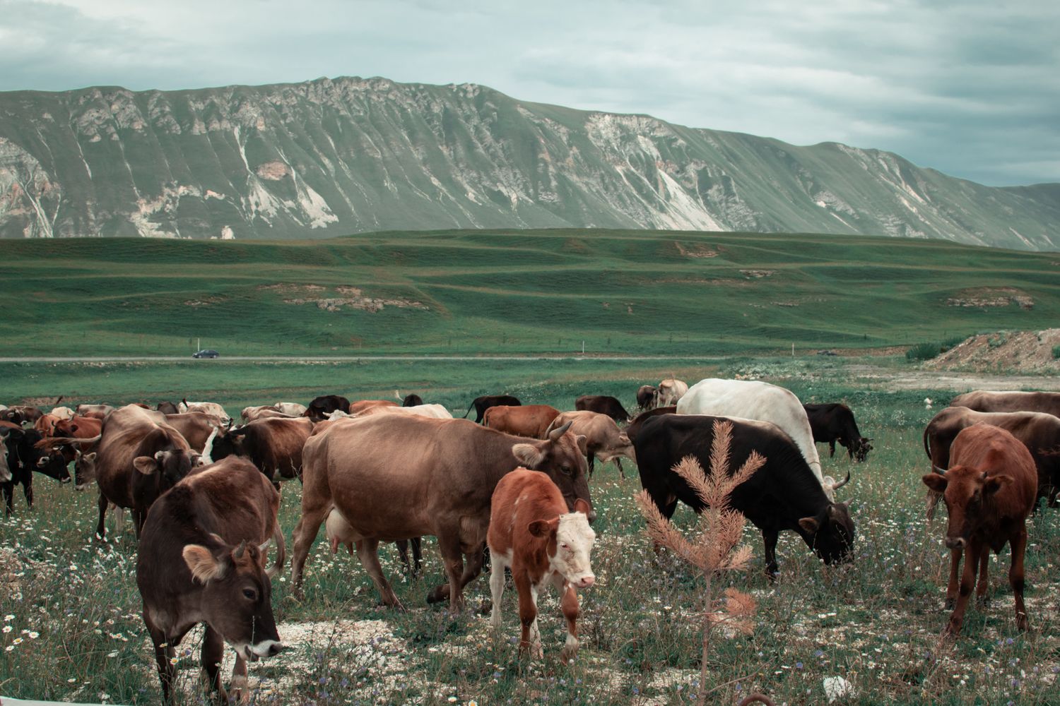 Комфорт-тур Сердце Дагестан. Уникальный маршрут и топ-локации. Все включено 5 дней! (36/63)