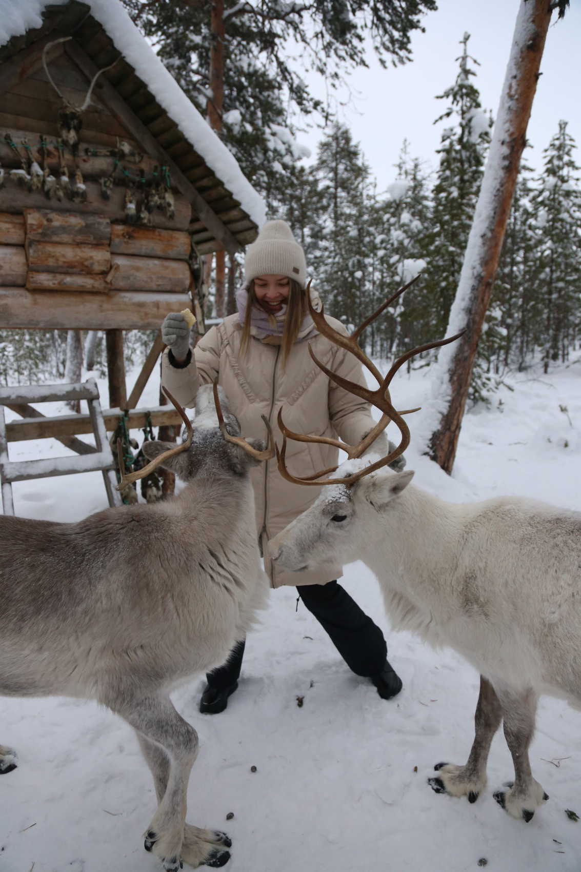Кольский полуостров: охота за северным сиянием (5/19)
