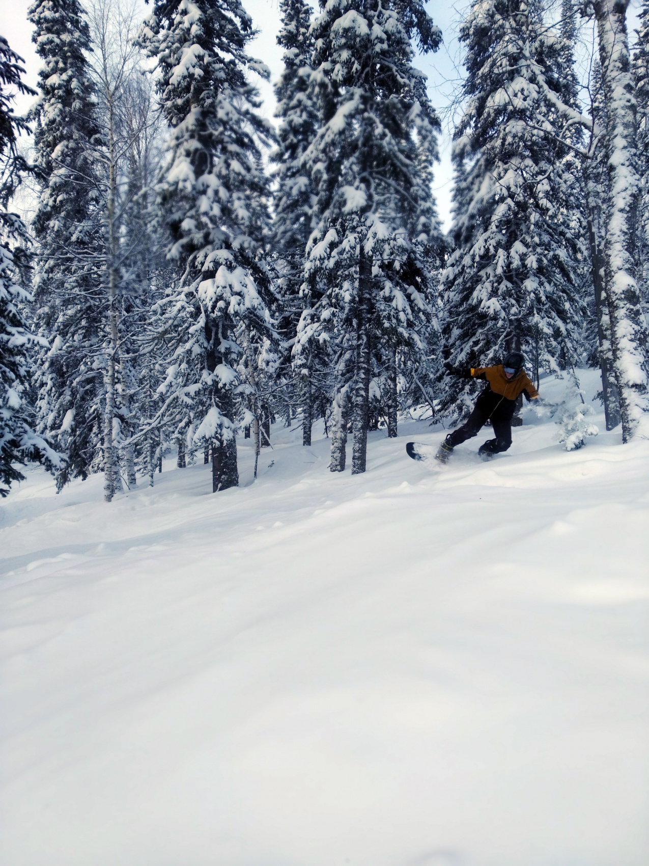 Катаем в Шерегеше (14/82)