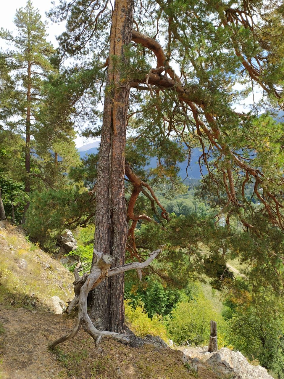 Архыз. Джип-тур к водопадам и озерам (4/33)