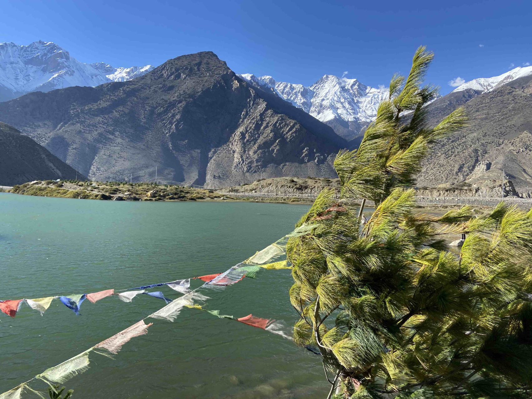 Непал. Трек вокруг Аннапурны по часовой! (71/122)