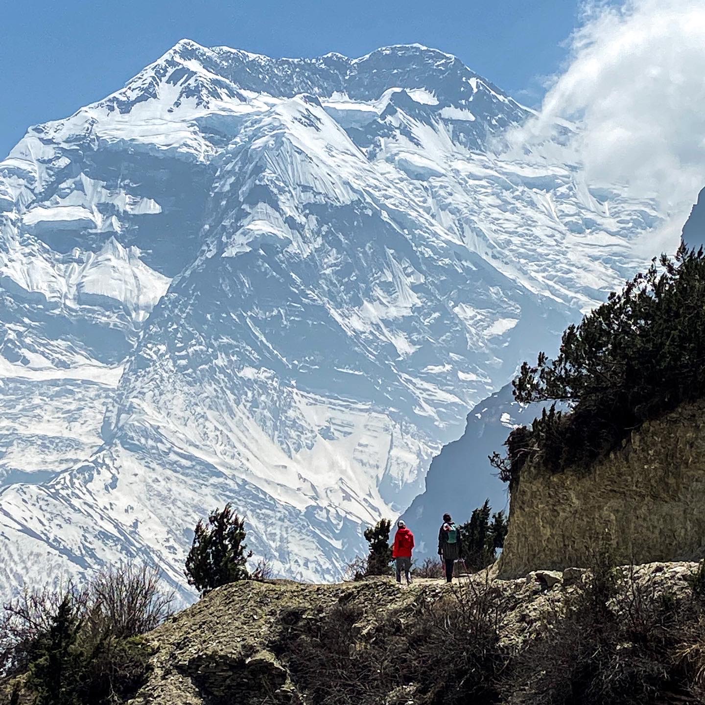 Непал. Трек вокруг Аннапурны по часовой! (28/122)