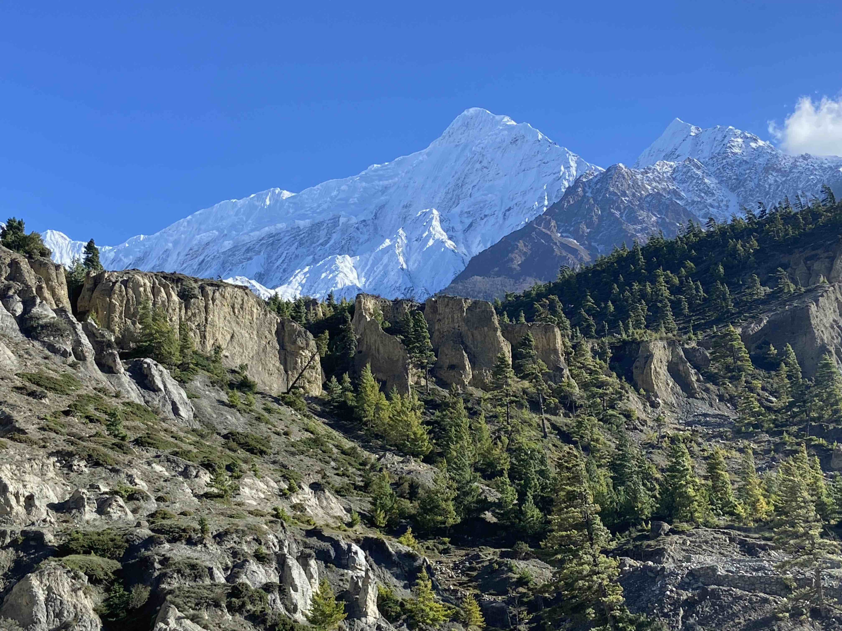 Непал. Трек вокруг Аннапурны по часовой! (74/122)