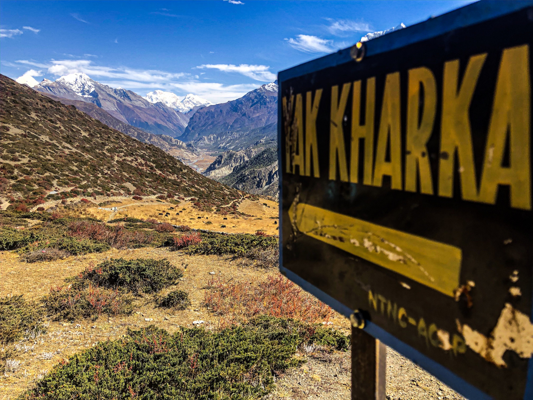 Непал. Трек вокруг Аннапурны по часовой! (7/122)