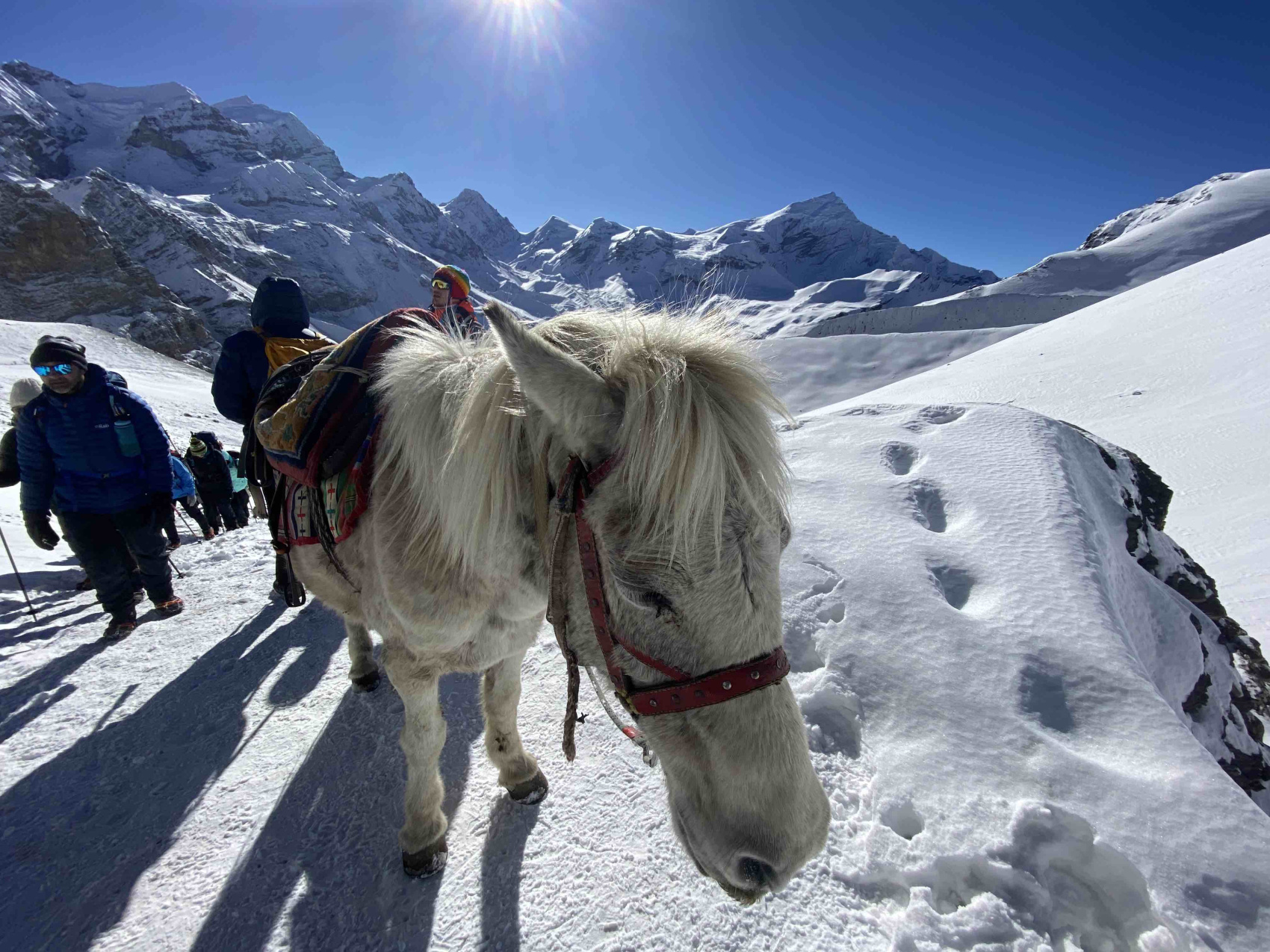 Непал. Трек вокруг Аннапурны по часовой! (76/122)