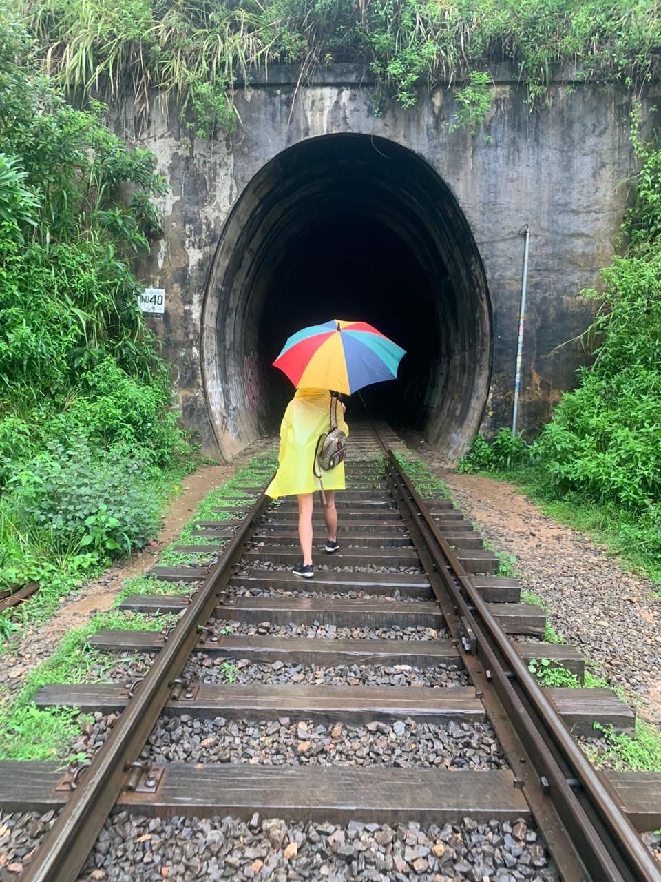 Загадочная Шри-Ланка. Вглубь страны и веков. Экскурсия (7/24)