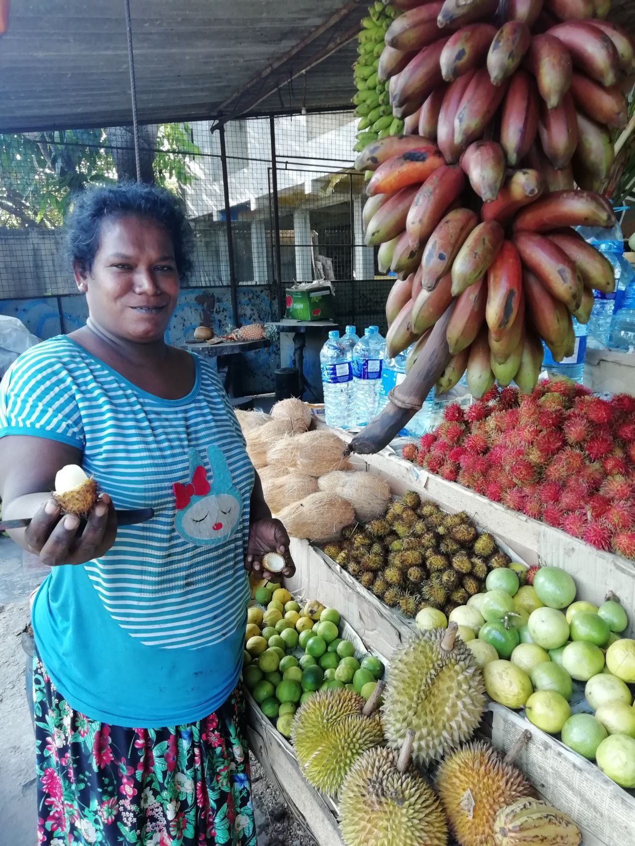 Загадочная Шри-Ланка. Вглубь страны и веков. Экскурсия (8/24)