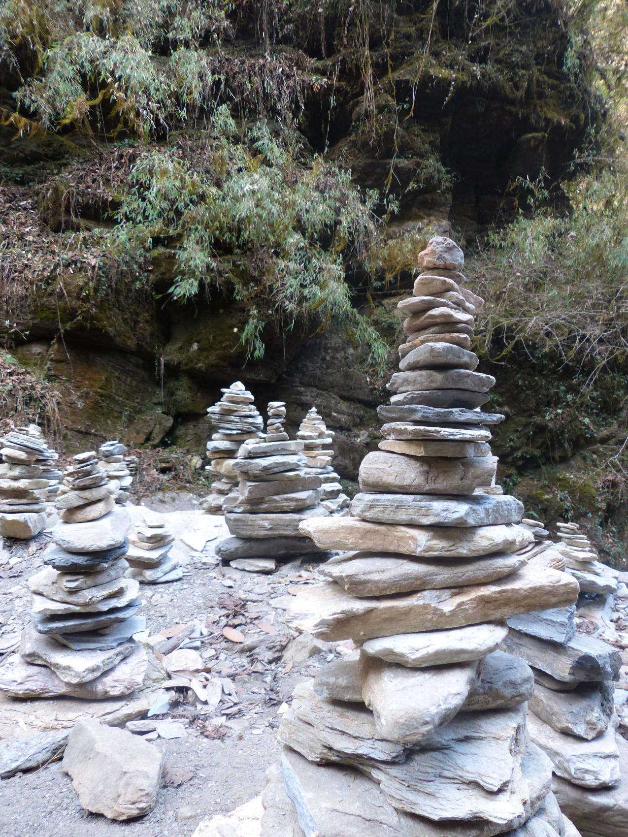 Поход на гору Горепани Пун в Непале (14/39)