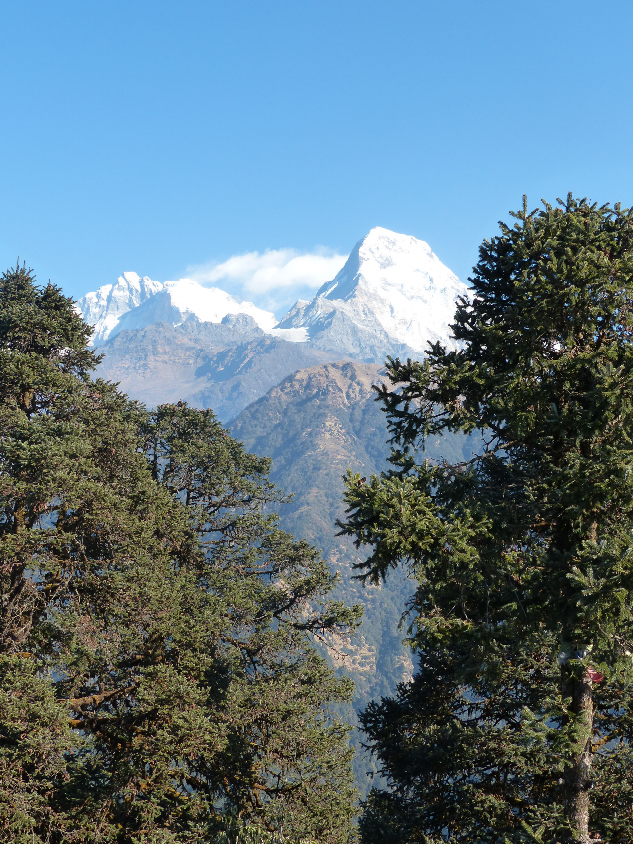 Поход на гору Горепани Пун в Непале (13/39)