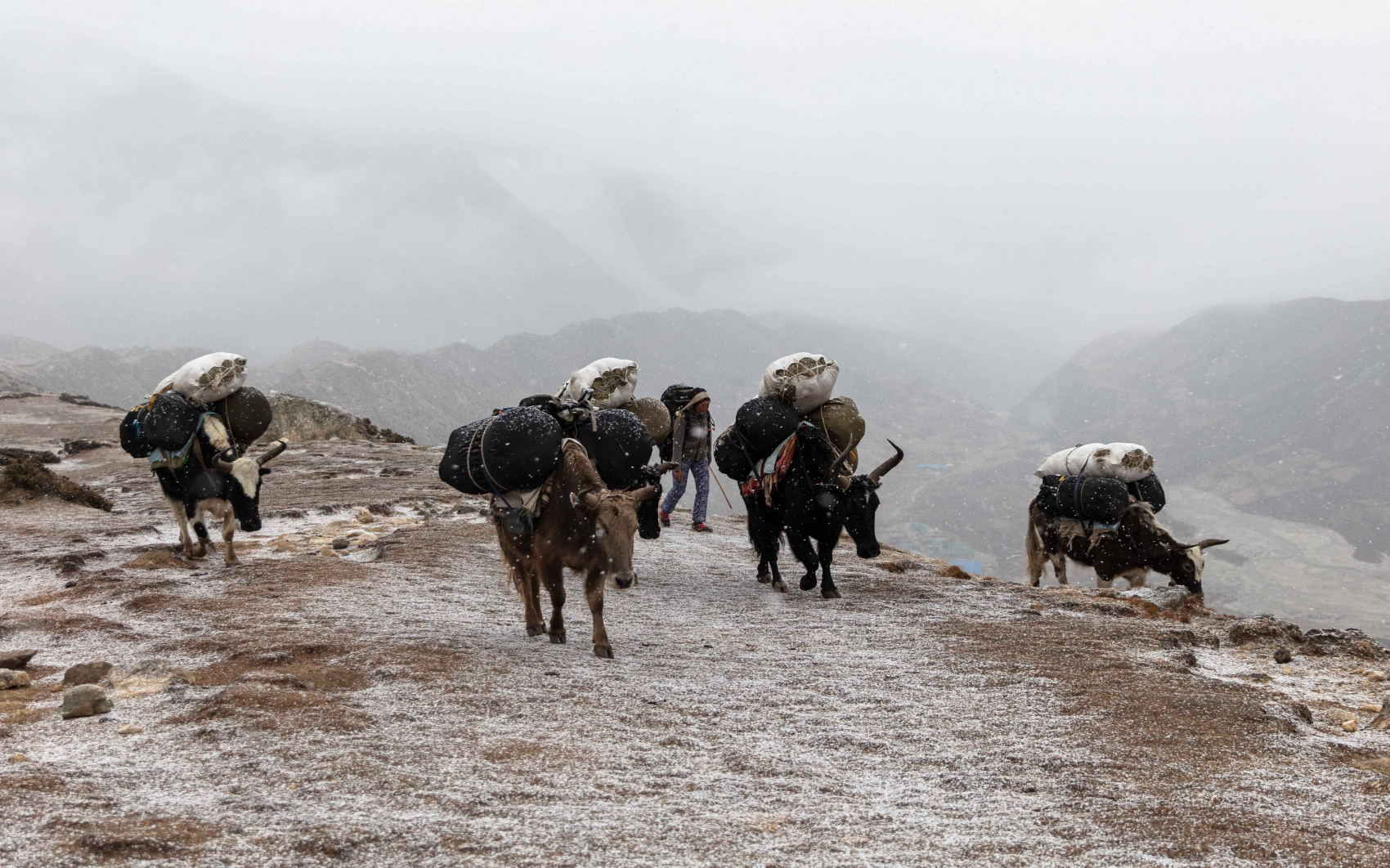 Поход в базовый лагерь Эверест в Непале (11/58)