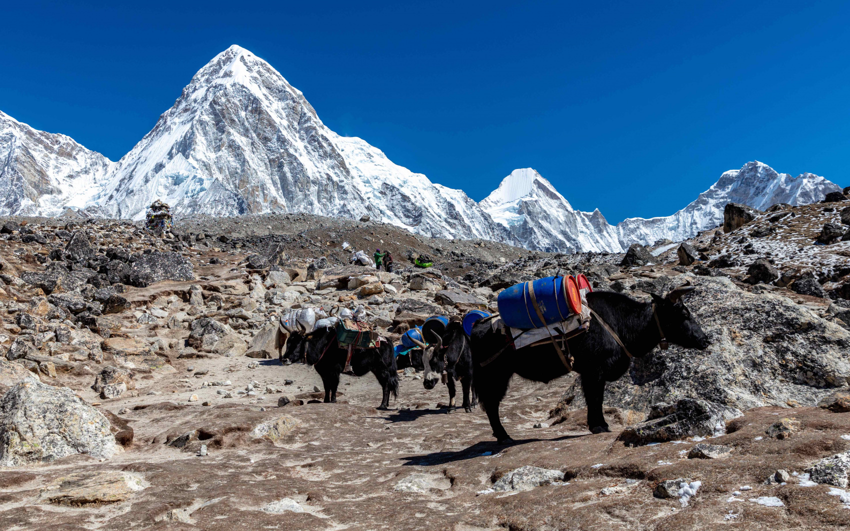 Поход в базовый лагерь Эверест в Непале (14/58)