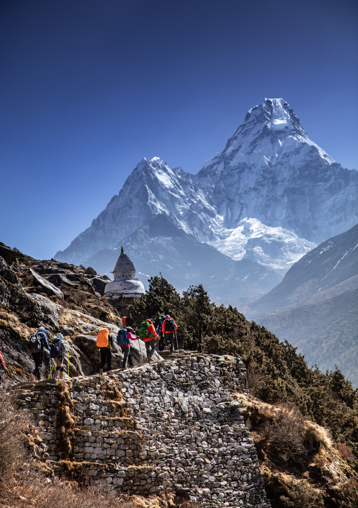 Поход в базовый лагерь Эверест в Непале (6/58)