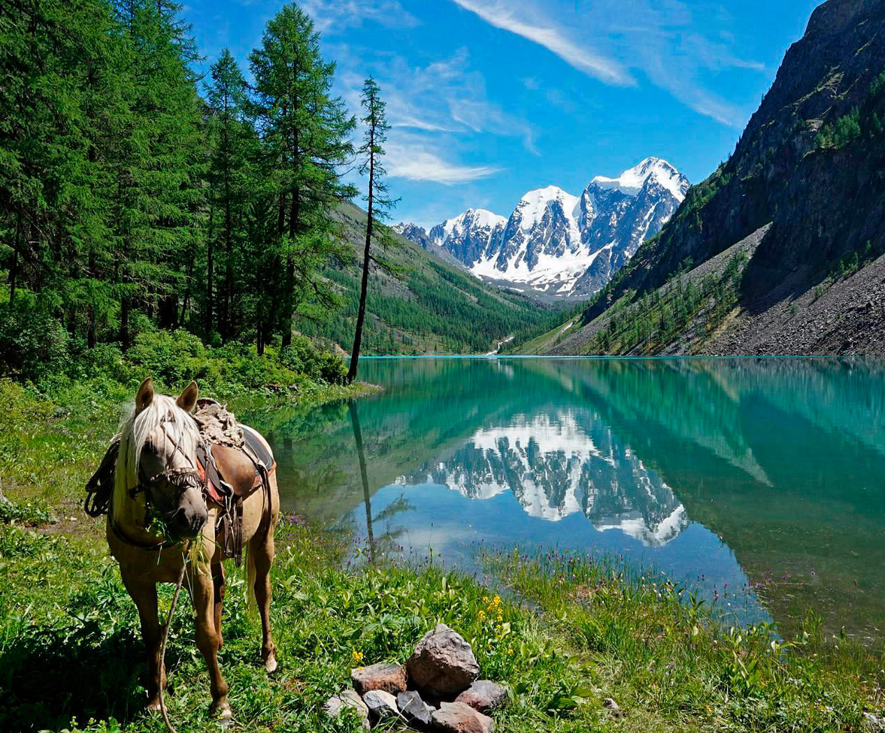 Шавлинское зазеркалье, пеший поход с вьючными лошадьми. (23/76)