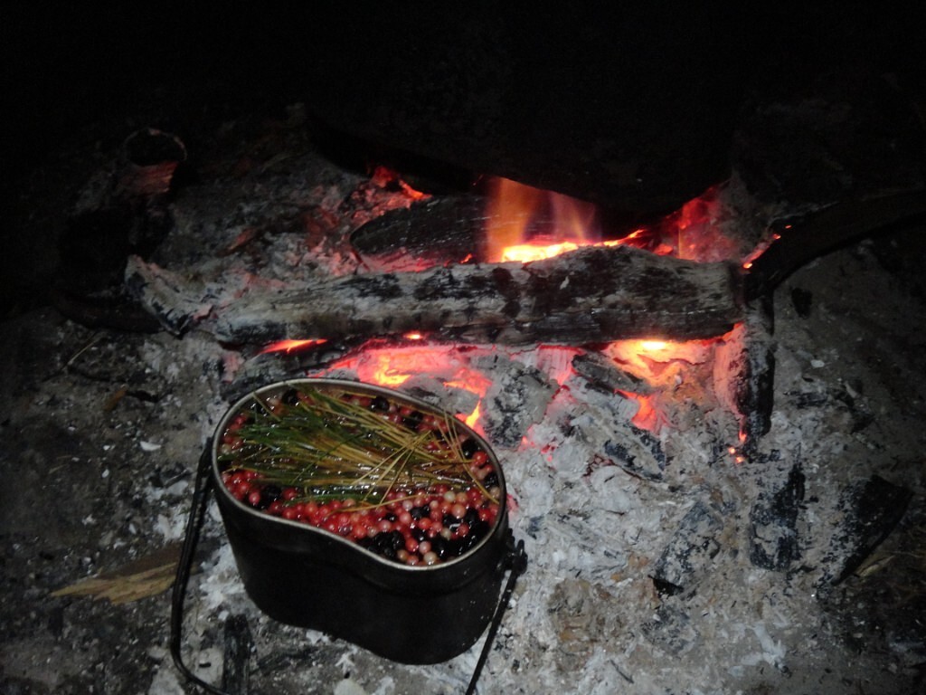 Шавлинское зазеркалье, пеший поход с вьючными лошадьми. (22/76)