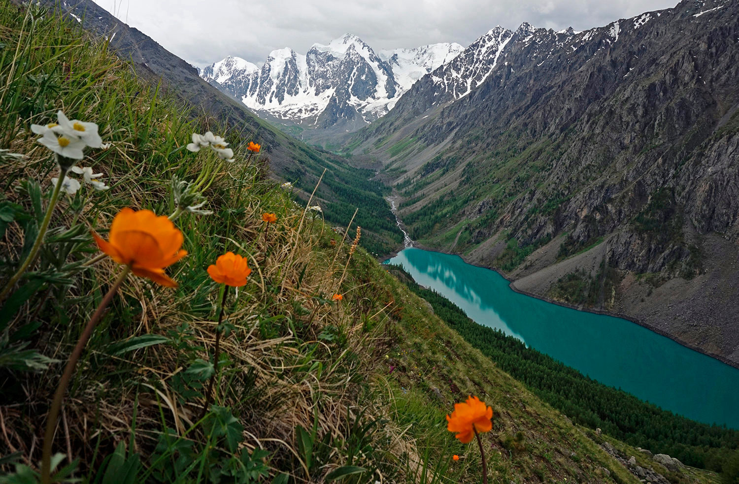 Шавлинское зазеркалье, пеший поход с вьючными лошадьми. (7/76)