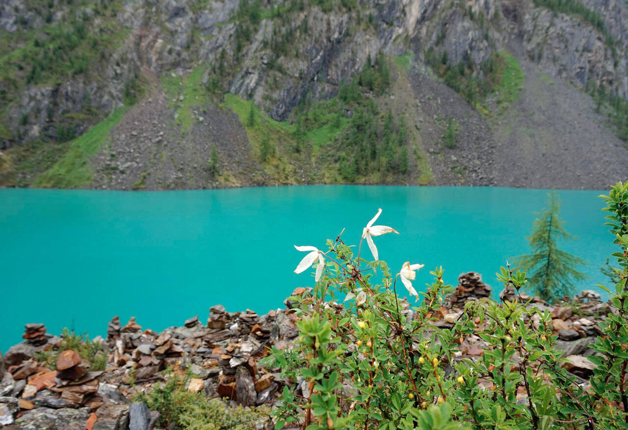 Шавлинское зазеркалье, пеший поход с вьючными лошадьми. (9/76)