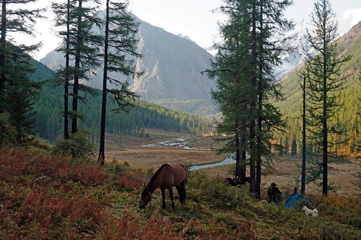 Шавлинское зазеркалье, пеший поход с вьючными лошадьми. (26/76)