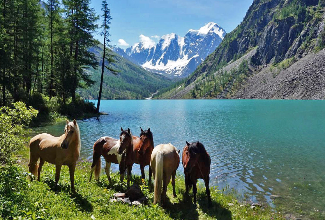 Шавлинское зазеркалье, пеший поход с вьючными лошадьми. (27/76)