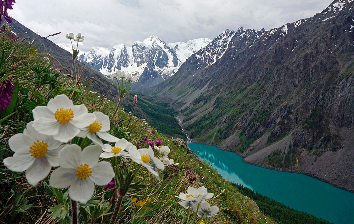 Шавлинское зазеркалье, пеший поход с вьючными лошадьми. (17/76)