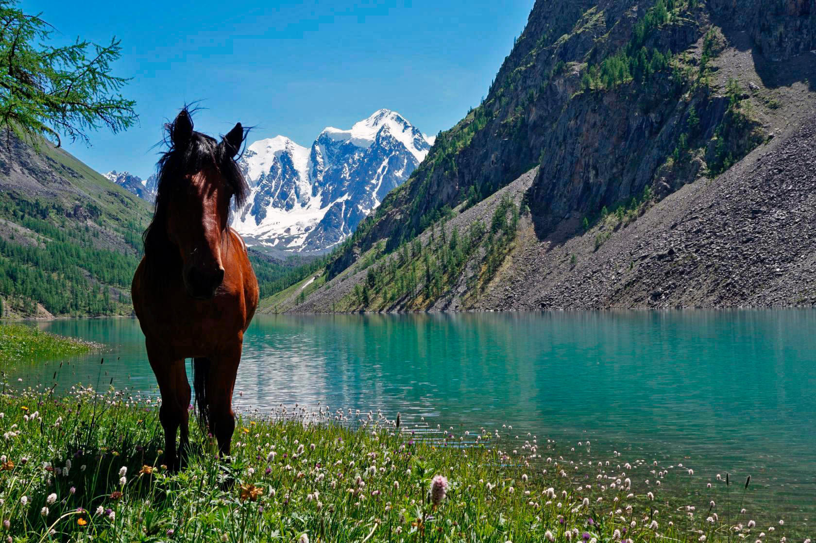 Шавлинское зазеркалье, пеший поход с вьючными лошадьми. (4/76)