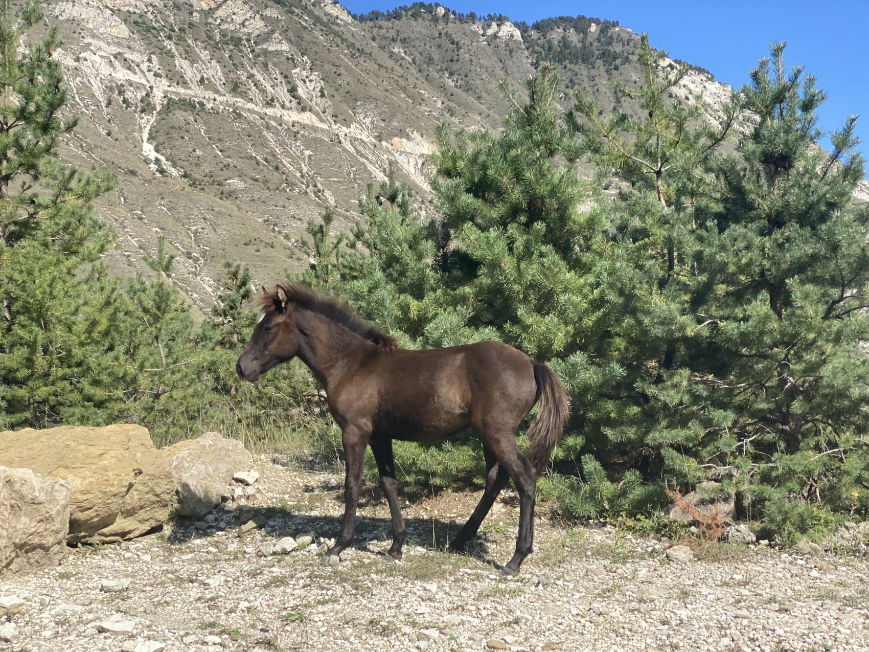 Зима не за Горами. 5 столиц (16/60)