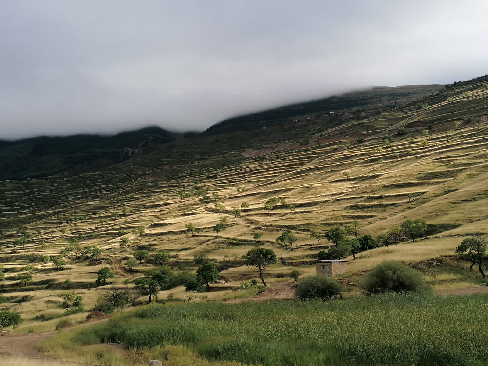 Зима не за Горами. 5 столиц (18/60)