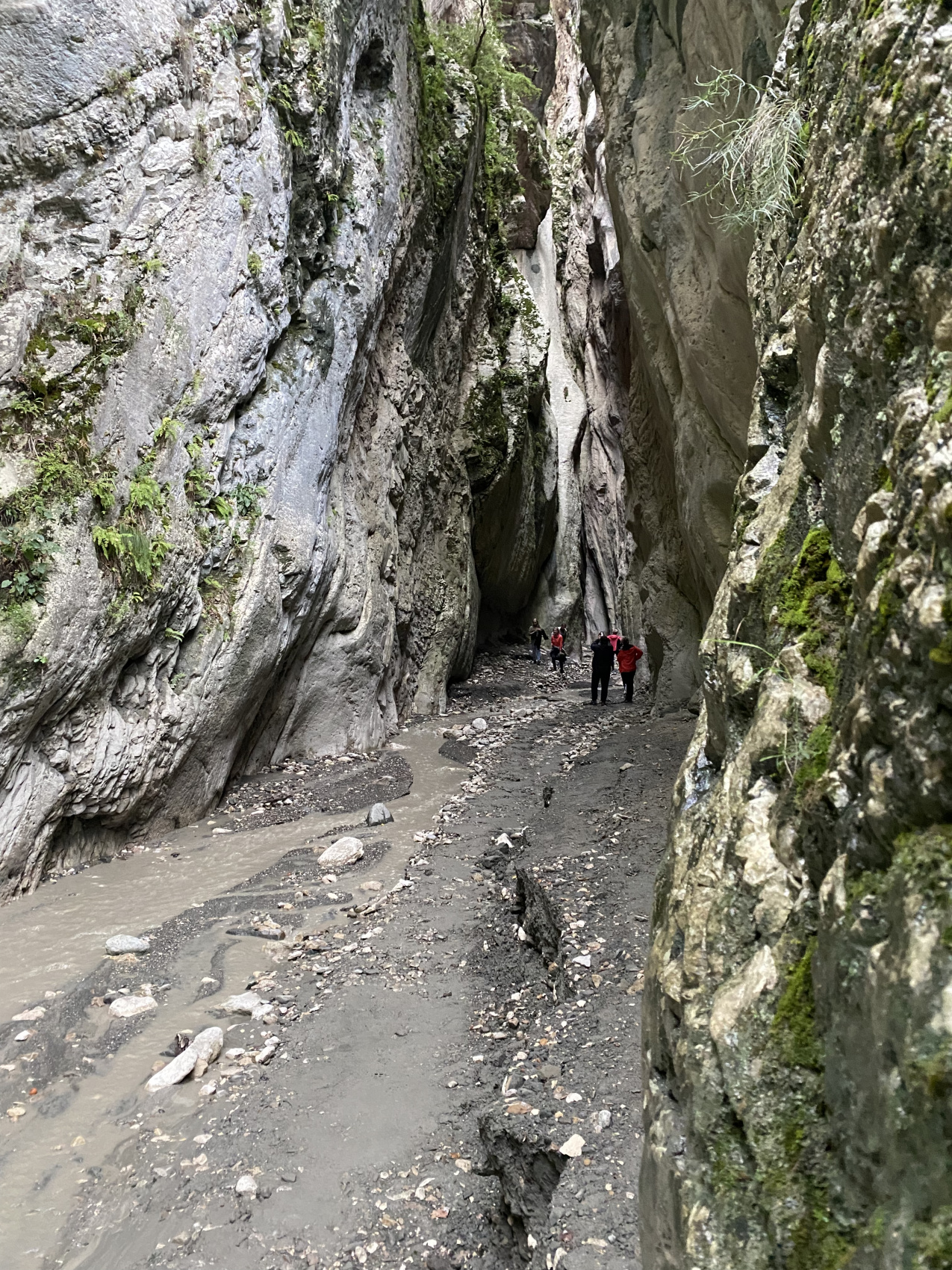 Зима не за Горами. 5 столиц (20/60)