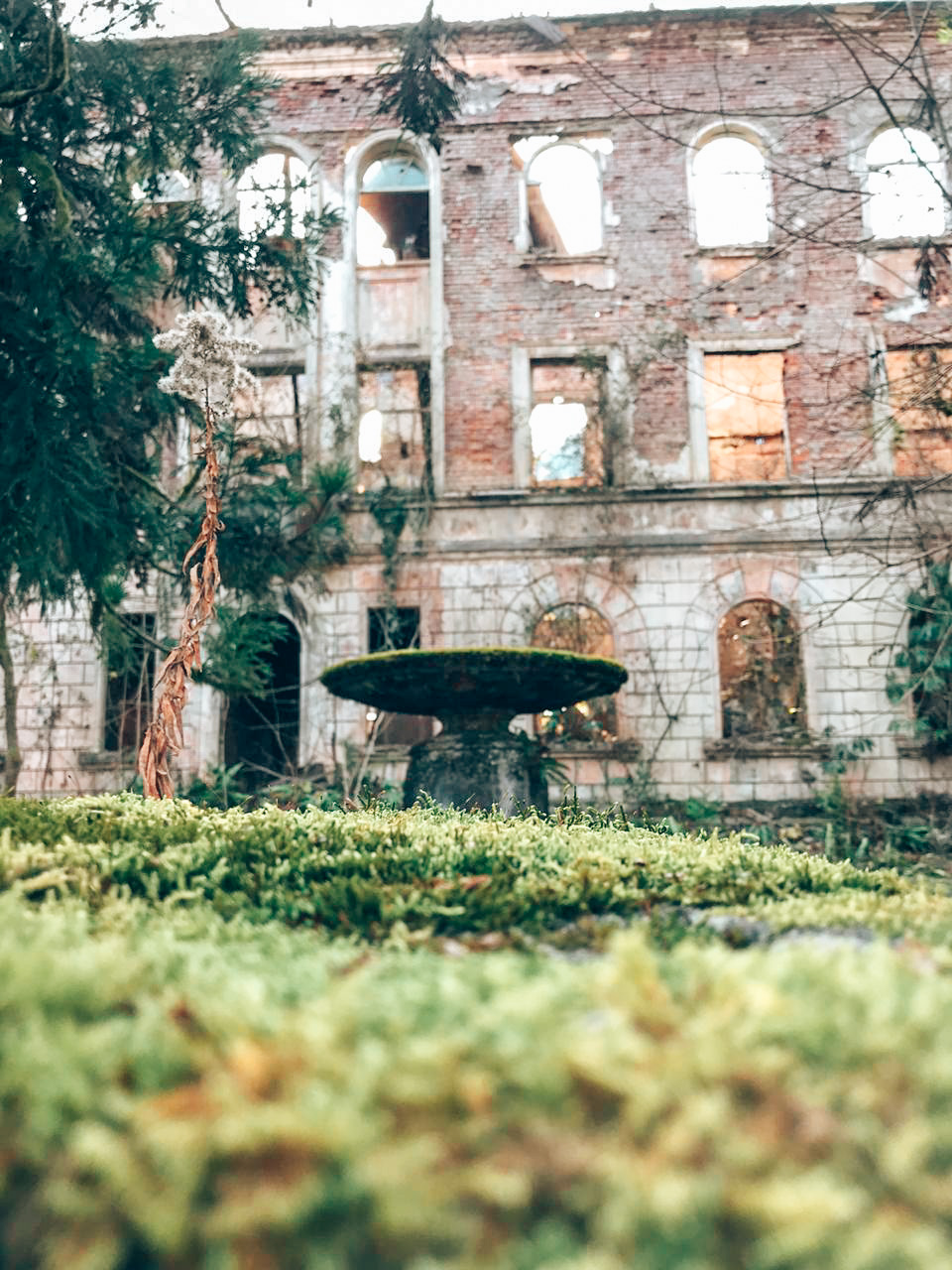 Ора-а! Молодёжный Джип-тур по-Абхазски! (41/89)