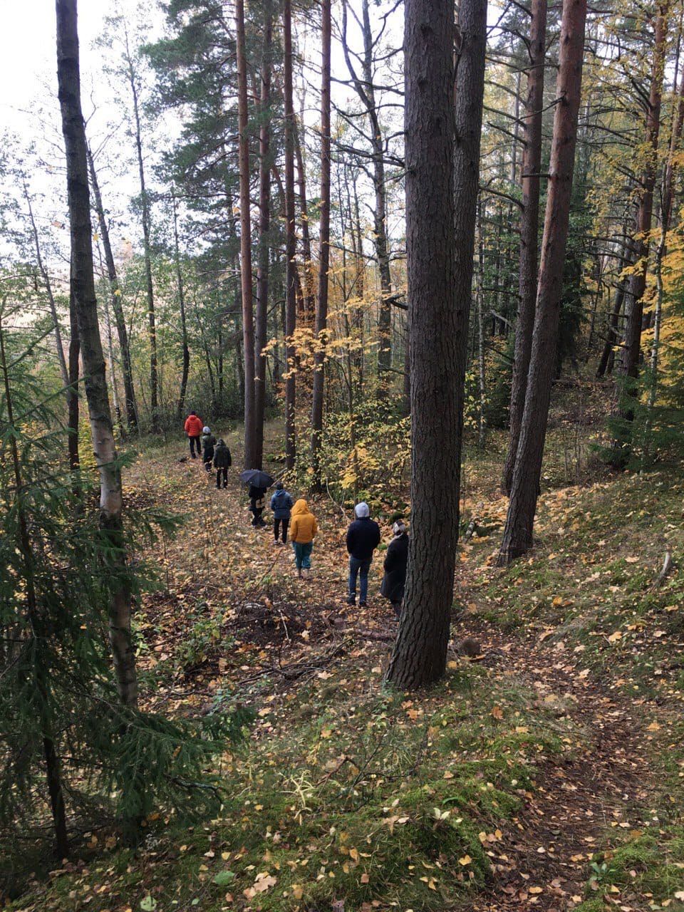 Ретрит Випассана в дни зимнего солнцестояния  Санкт-Петербург