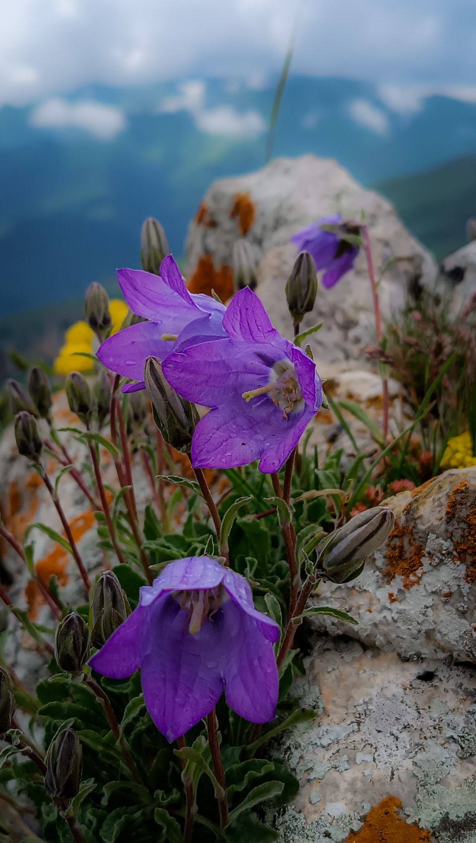 Джип Тур - Над горами Армении (34/41)