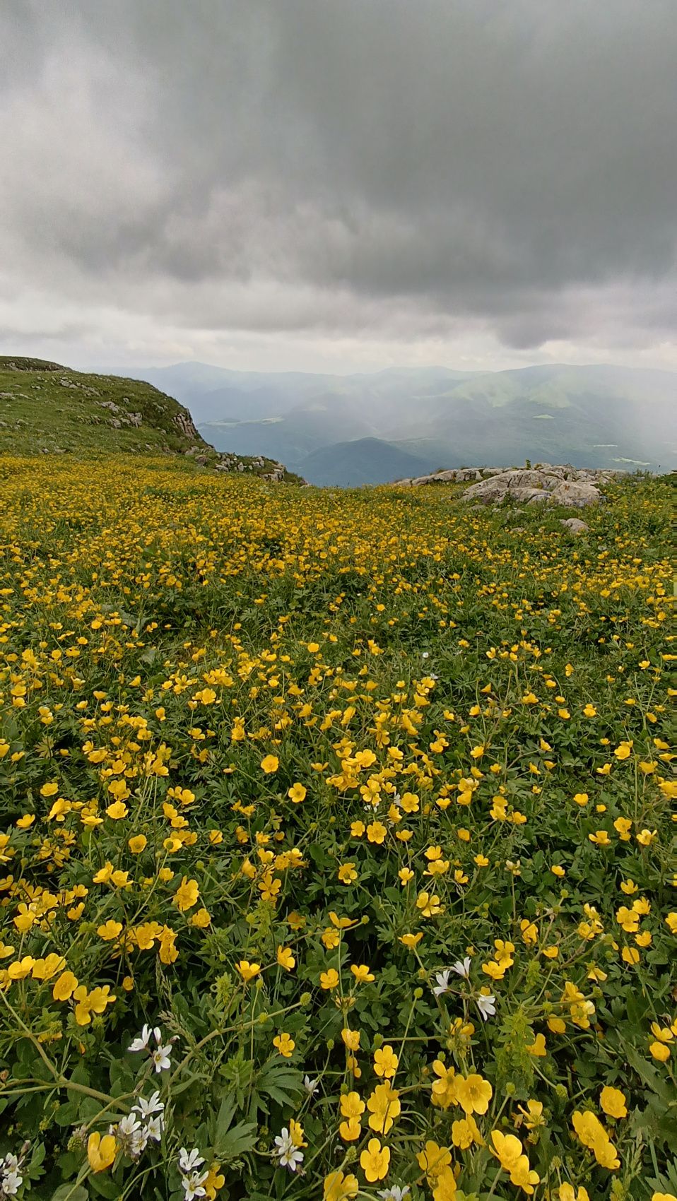 Джип Тур - Над горами Армении (24/41)