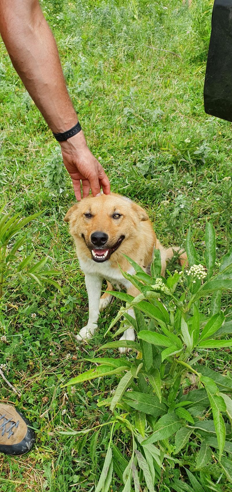 Осеннее солнце Армении (17/48)