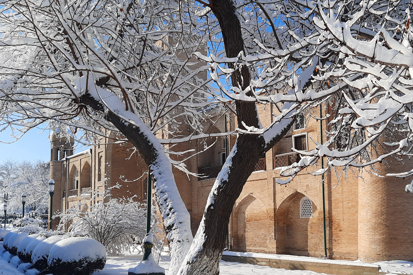 Новогоднее волшебство Ташкента, Самарканда и Бухары. Комфорт-тур. (33/76)