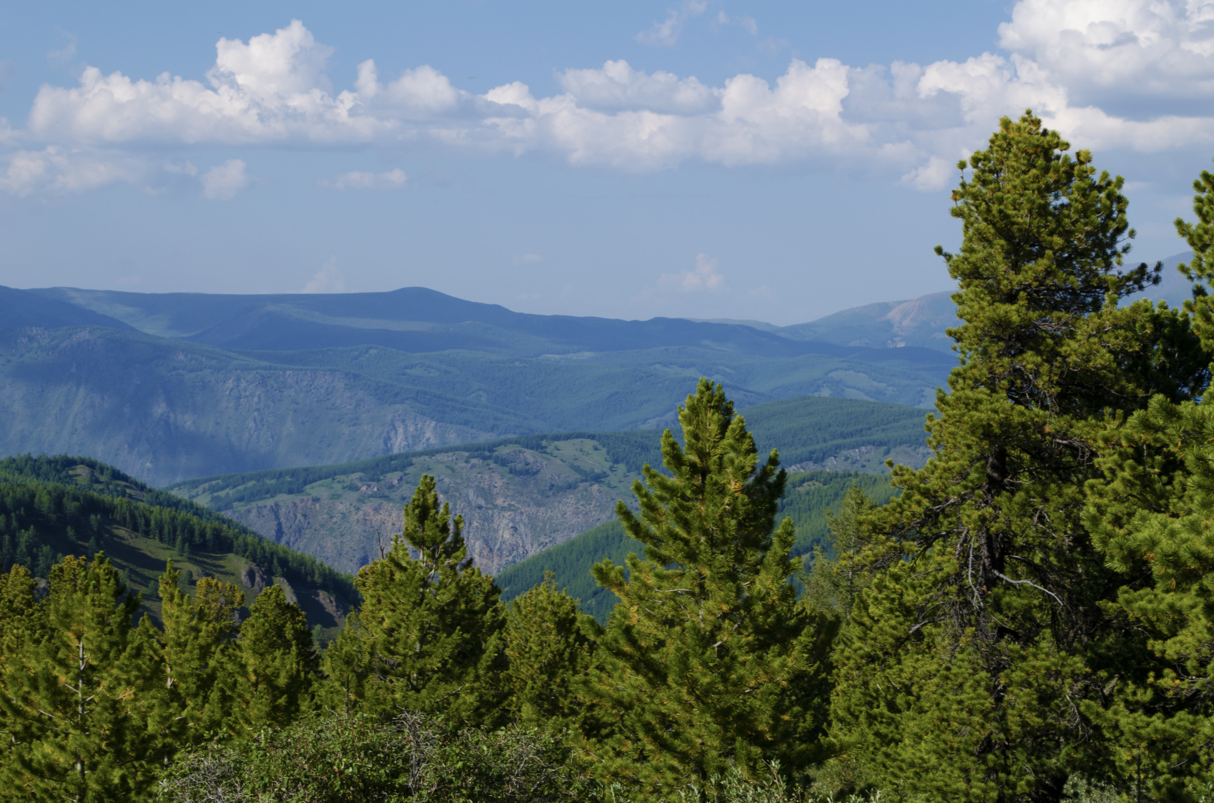 Треккинг к Шавлинским озерам c конным сопровождением (22/88)