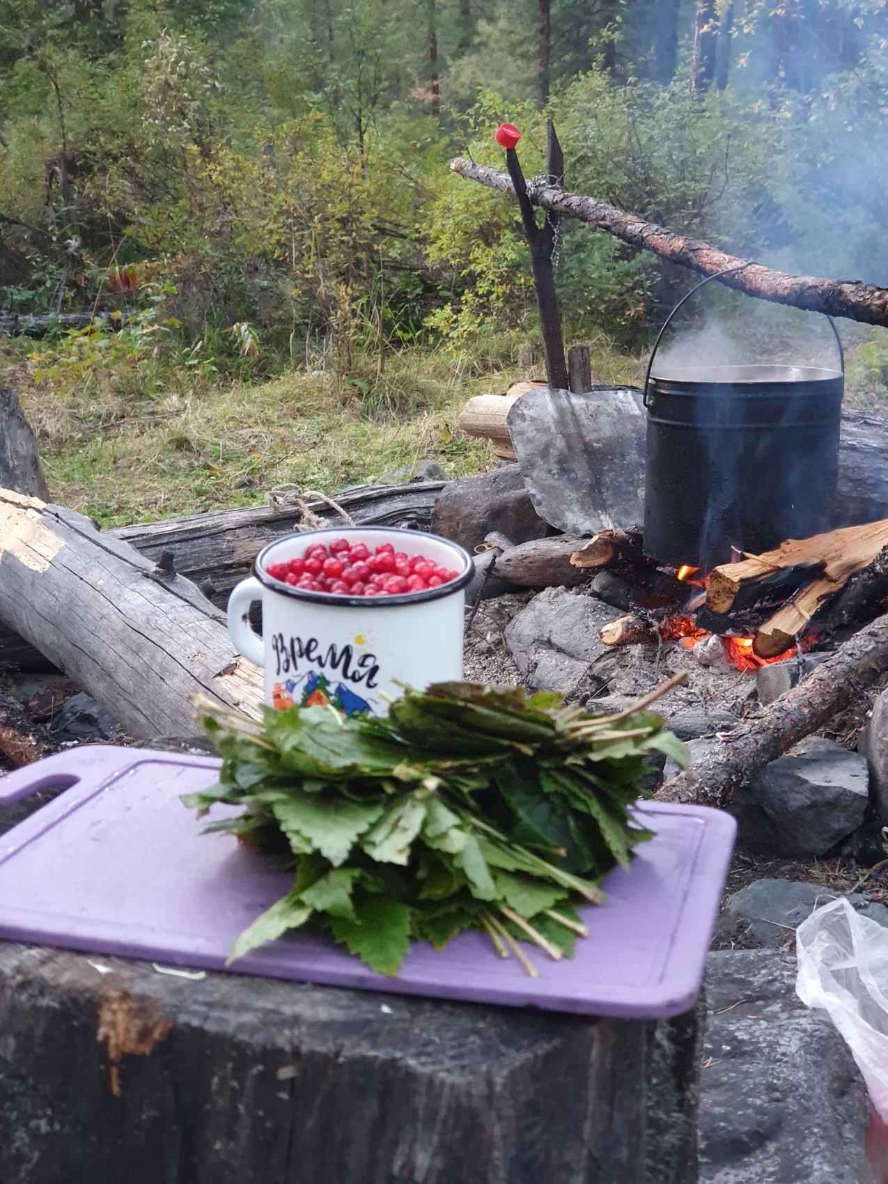 Треккинг к Шавлинским озерам c конным сопровождением (20/88)