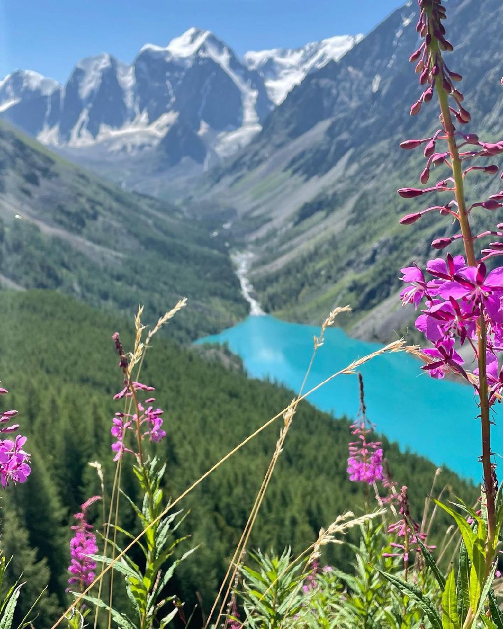 Треккинг к Шавлинским озерам c конным сопровождением (30/88)