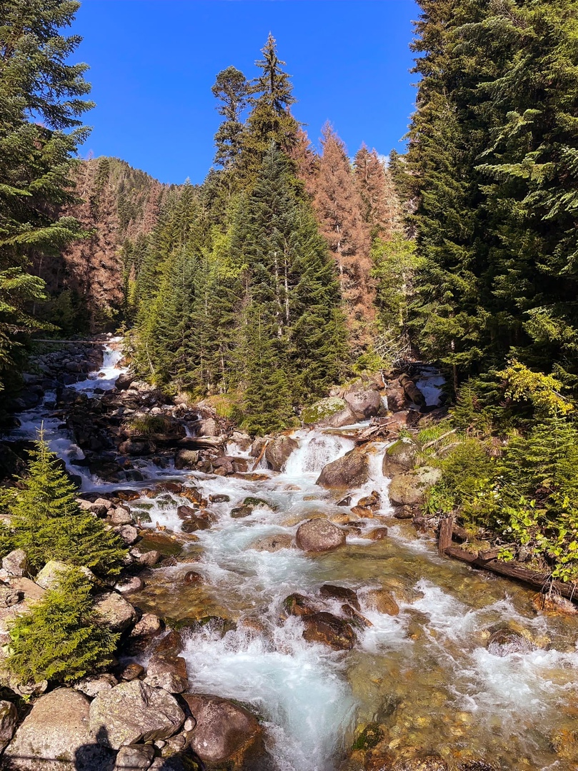 Домбай - жемчужина Кавказа (4/26)