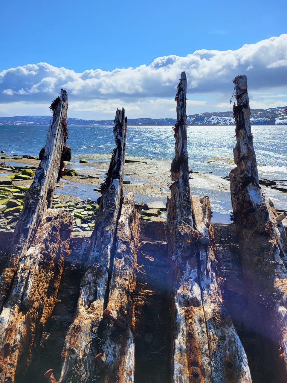 В Поисках Китов: Мурманск - г. Кола - Абрам мыс - Долина Славы - Териберка - Мурманск (9/29)