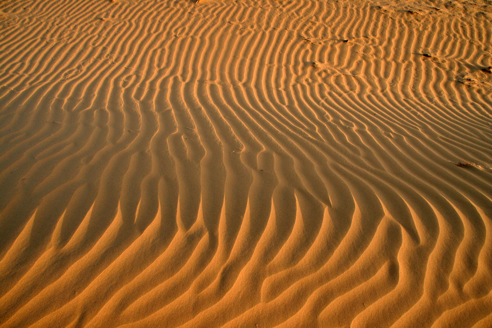 Гранд-Вояж по Узбекистану: Ташкент, Хива, Бухара, Самарканд и Гиждуван. (27/84)