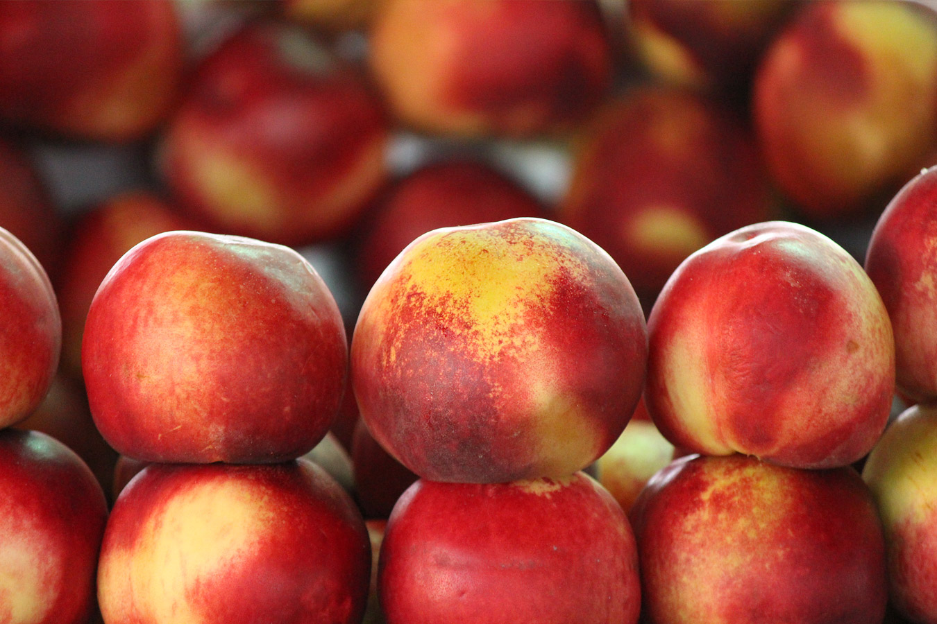 Путешествие по 5 золотым городам империи Тимуридов: от Хивы до Ташкента. (42/73)