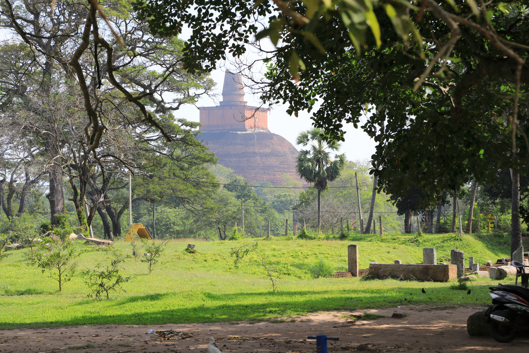 Экотрип на Шри-Ланку (38/86)