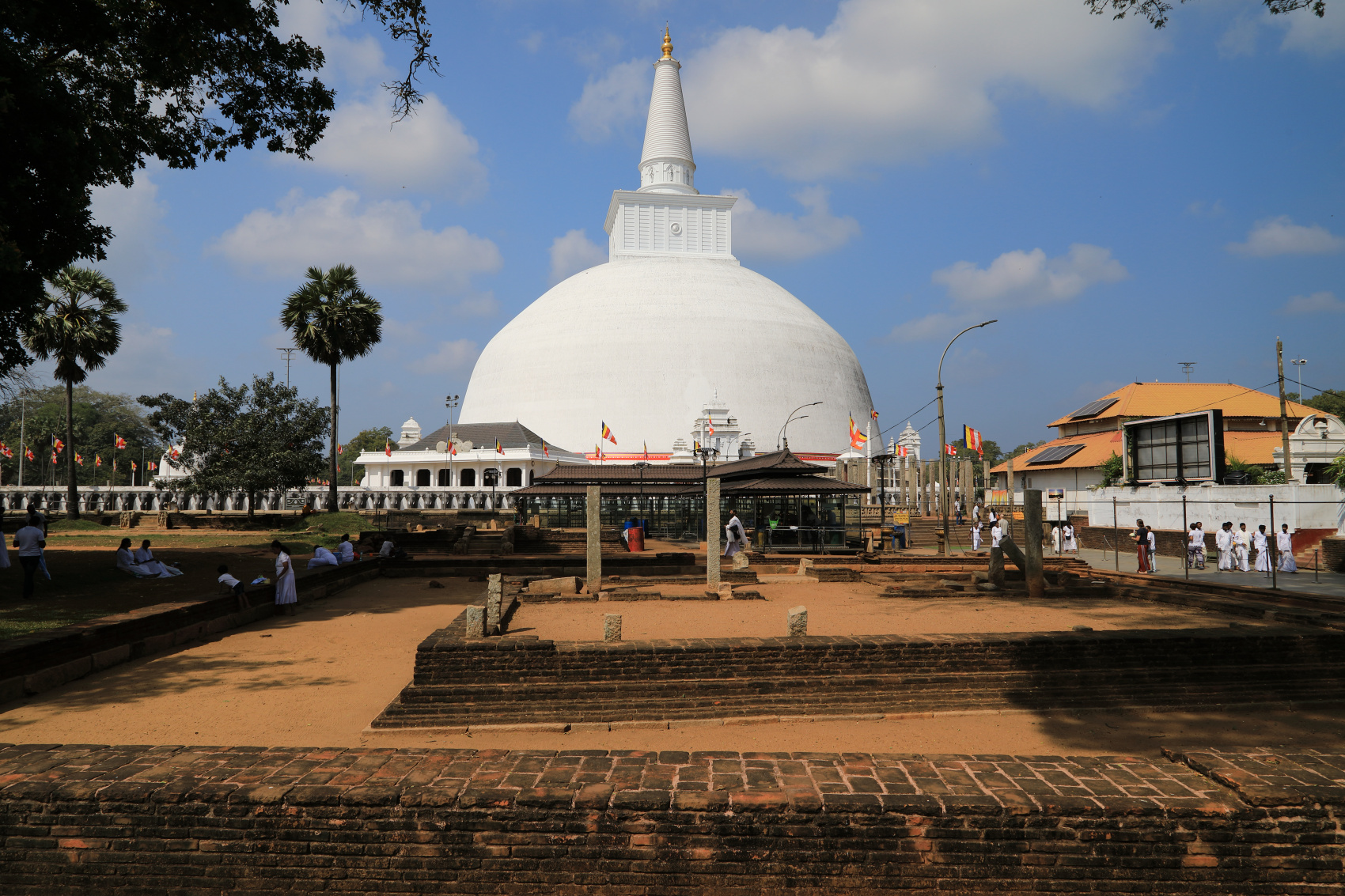 Экотрип на Шри-Ланку (35/86)