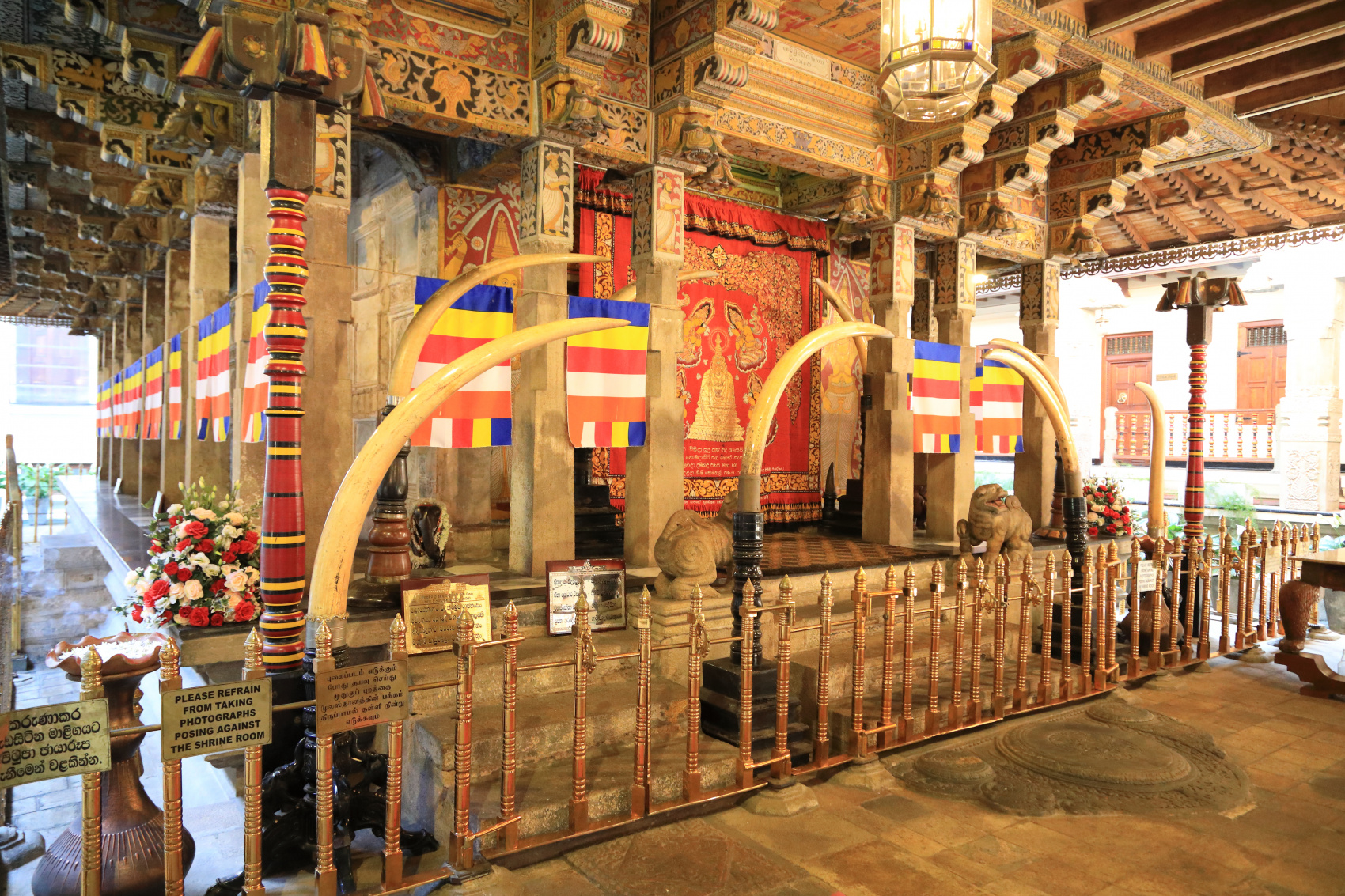 Экотрип на Шри-Ланку (46/86)