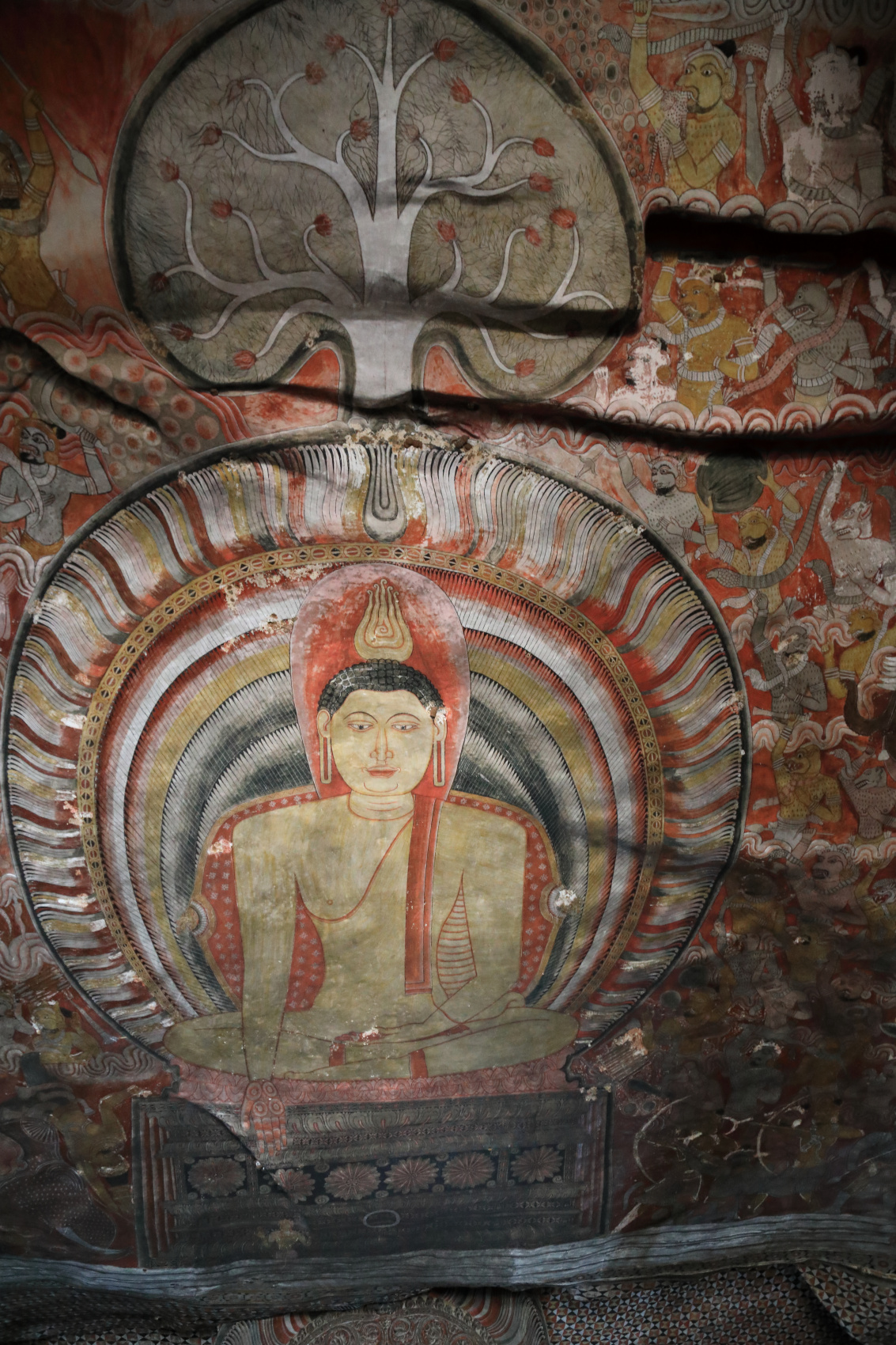 Экотрип на Шри-Ланку (44/86)