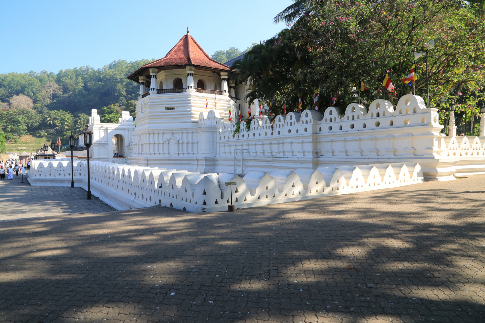 Экотрип на Шри-Ланку (45/86)